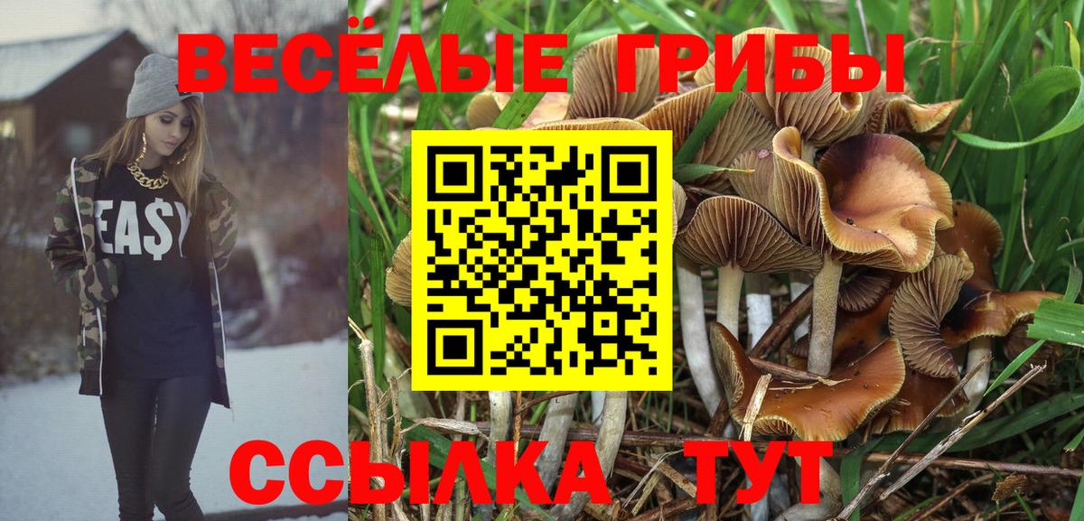 Галлюциногенные грибы Cubensis  Вход с VPN  Алапаевск  Псилоцибиновые грибы Magic Shrooms 