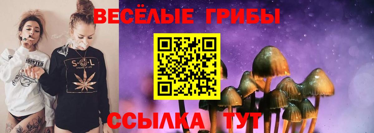 Галлюциногенные грибы мухоморы Алапаевск