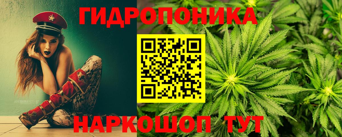 Канабис THC 21%  Марихуана Bruce Banner  Алапаевск  Вход с VPN  Канабис SATIVA & INDICA  Шишки марихуана THC 21% 